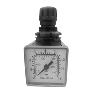 ANI Air Pressure Regulator M/150/2, 1/4 inch Female Thread