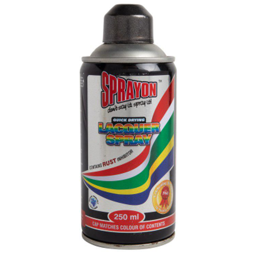 Sprayon Cast Iron Metallic Spray Paint 250ml